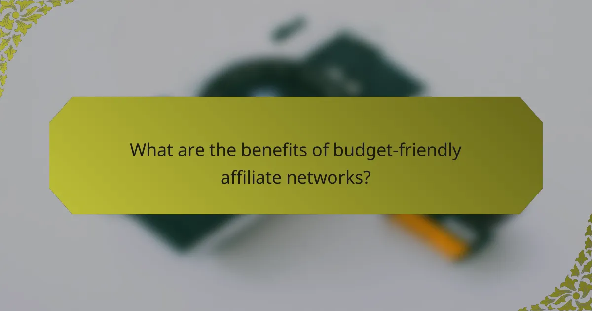 What are the benefits of budget-friendly affiliate networks?