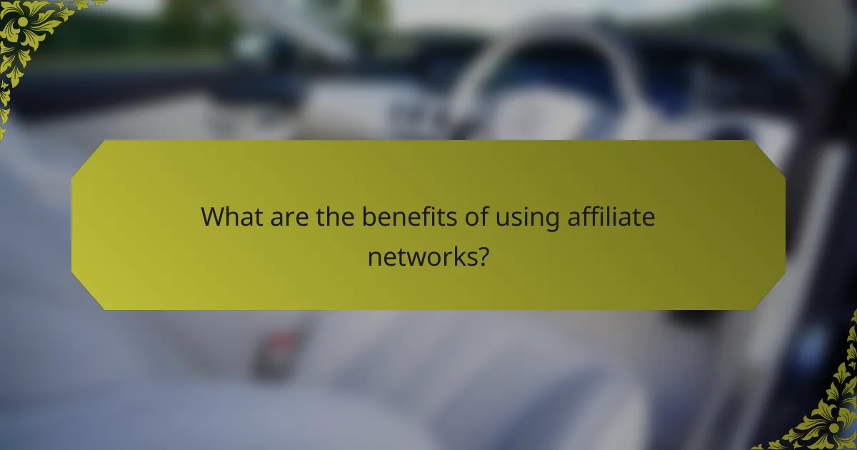 What are the benefits of using affiliate networks?