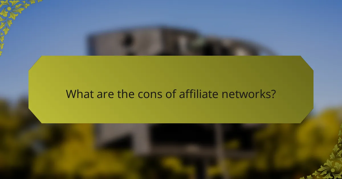 What are the cons of affiliate networks?