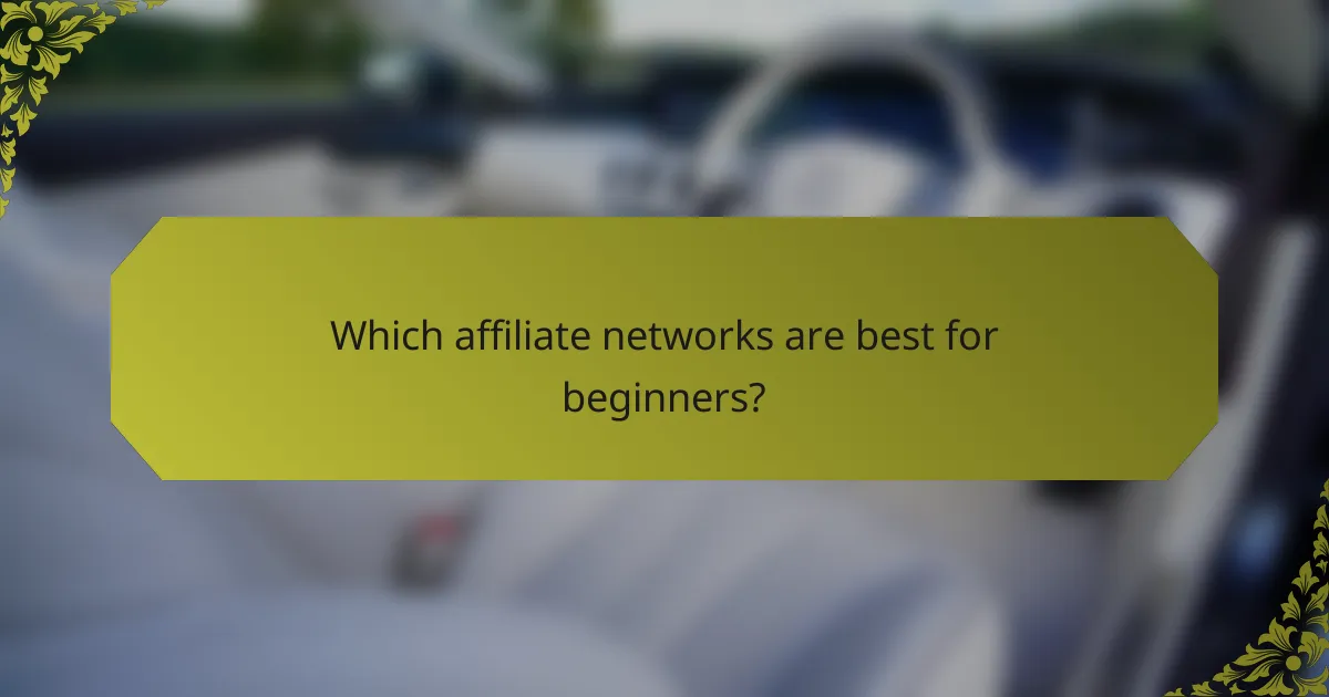 Which affiliate networks are best for beginners?